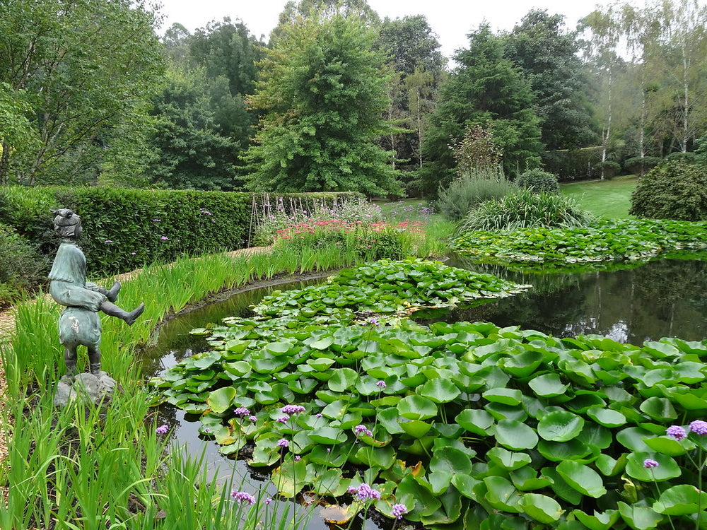 Mount Macedon - Tieve Tara Gardens