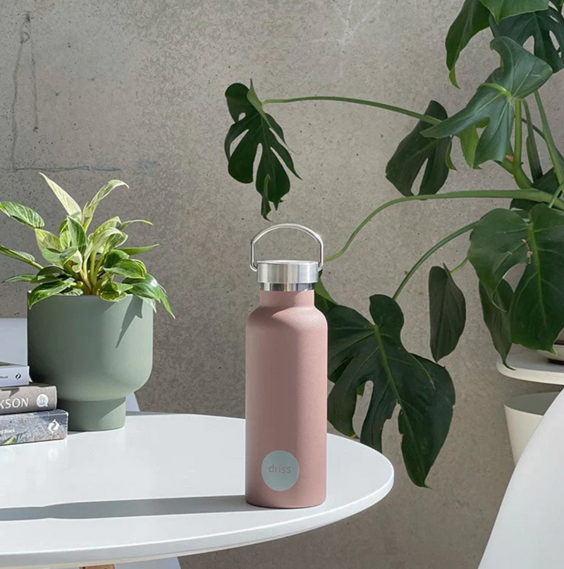 Driss | Insulated Stainless Steel Bottle